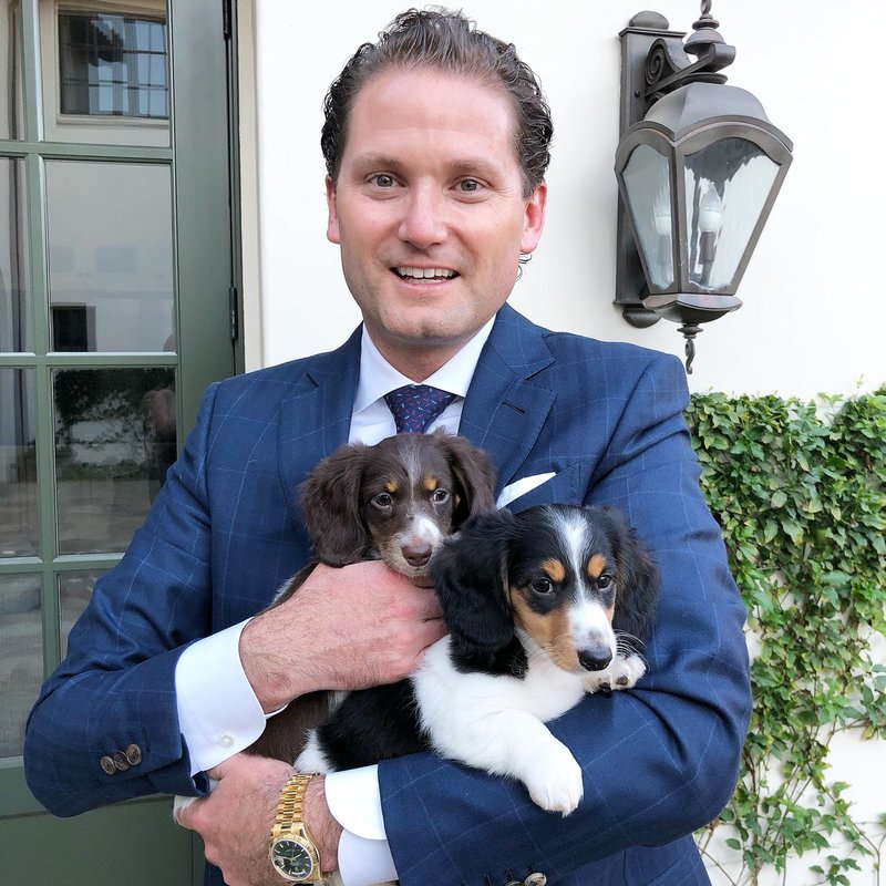 get a good puppy in cali - DeLorenzo Dachshundsget a good puppy in cali - DeLorenzo Dachshunds