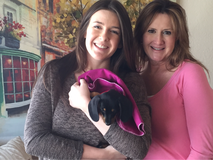 puppy to buy - DeLorenzo Dachshunds