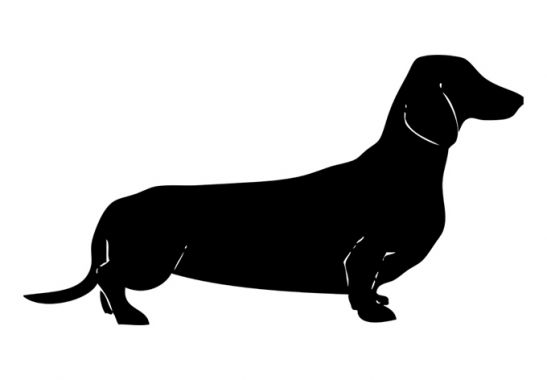 DeLorenzo Dachshund