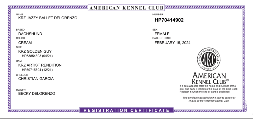 Female Dachshund Dog License – DeLorenzo Dachshunds
