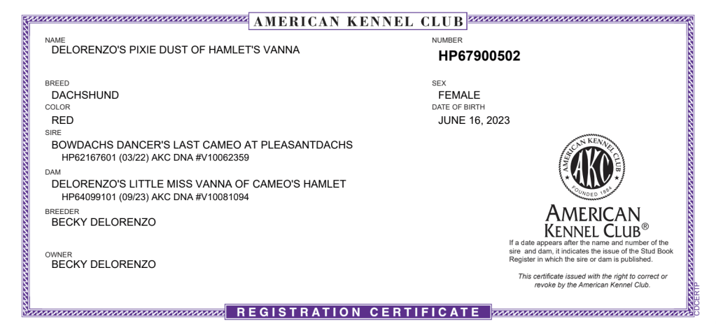 Official Female Dachshund License Record – DeLorenzo Dachshunds
