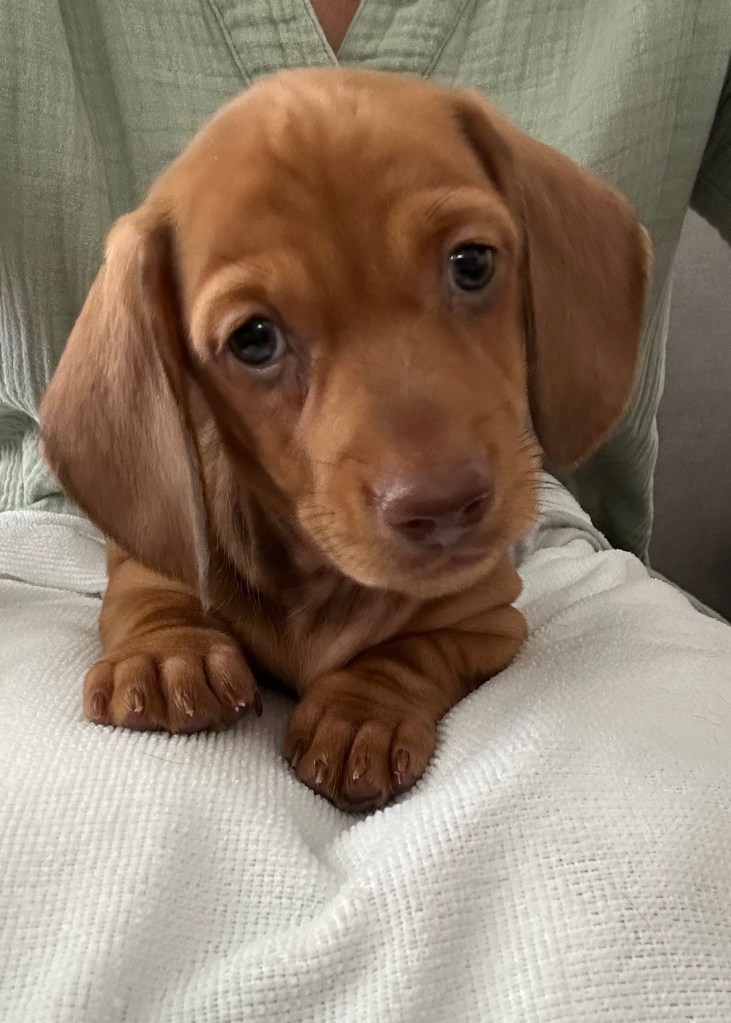 “Kindness” - 6 weeks and 1 day