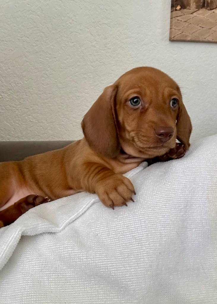 “Kindness” - 6 weeks and 1 day